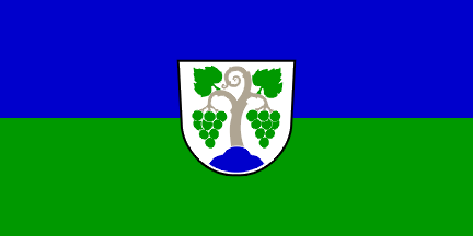 Vipava (Municipality, Slovenia)